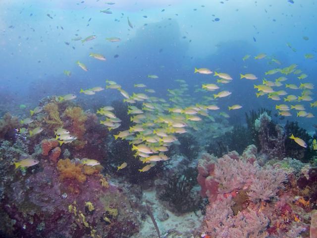 Nomad Divers Bangka Likupang Exterior photo